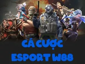 hướng dẫn đầy đủ cách cá độ esport w88 từ a tới z