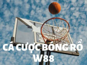 cách chơi và các mẹo để chiến thắng khi cá độ bóng rổ trên nhà cái w88