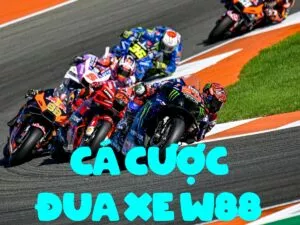 chỉ dẫn cá cược đua xe moto tại nhà cái w88 uy tín và chính xác
